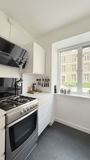 Fridge, oven, stovetop, dishwasher