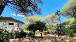 A pathway leading to a building with a white facade and wooden shutters, surrounded by trees and a clear blue sky.