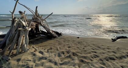Apartment Nestled in pine forest, Beach within walking or biking distance