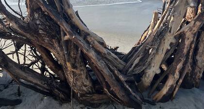 Beach Bliss Bowentown, Waihi Beach! Four beaches within a stone's throw!