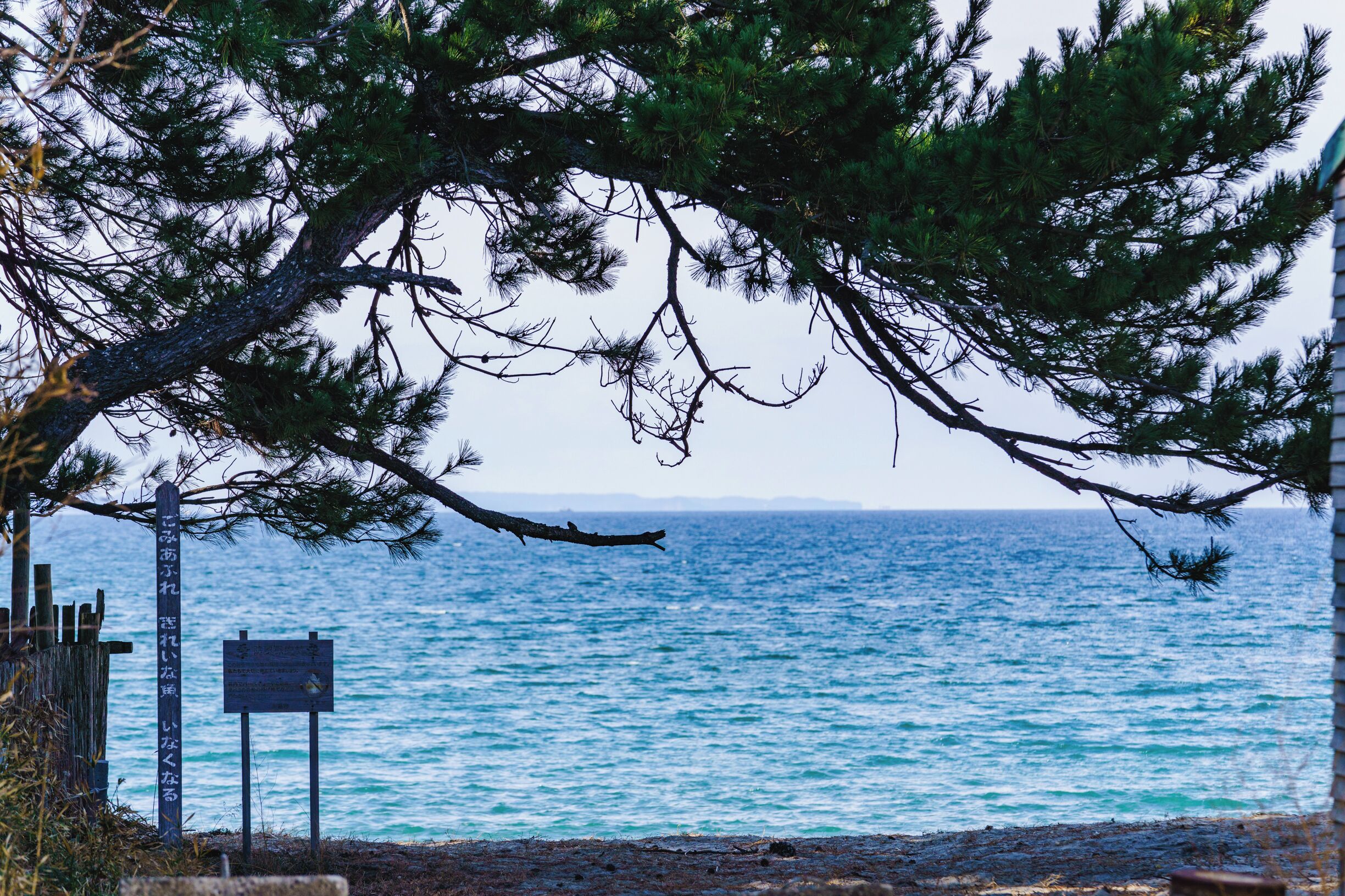 A coastal scene with a wooden fence, a sign, and a view of the sea.