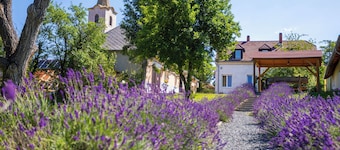 Nora Guest House