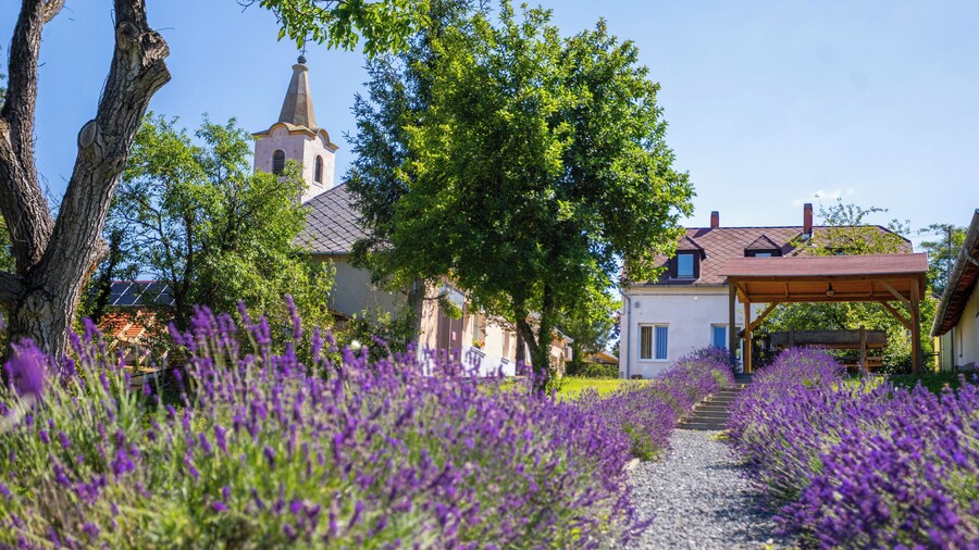 Nora Guest House