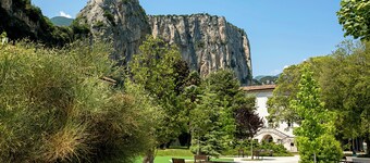 The Olive Tree Garden With Mountain View