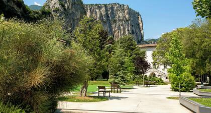 The Olive Tree Garden With Mountain View