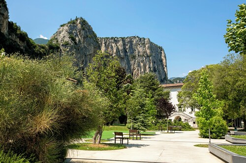 The Olive Tree Garden With Mountain View