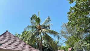 A pool area with lounge chairs, a covered seating area, and a building with a tiled roof. - Gila House (Gili Air)