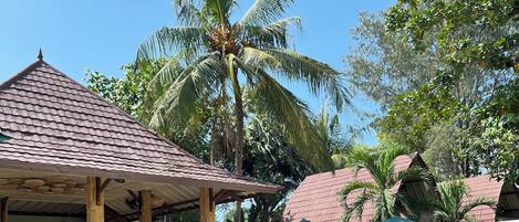 Kolam renang outdoor