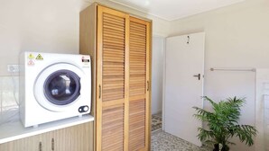 Ein Waschraum mit Waschmaschine, Holzschrank und Topfpflanze.