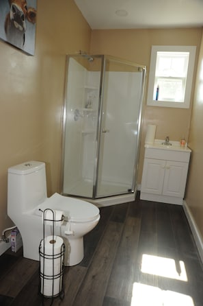 Shower, hair dryer, towels, soap
