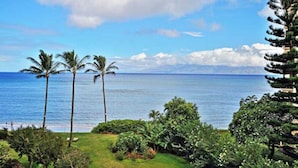 A tropical beach view with palm trees and a clear sky. - Royal Kahana 404 (Lahaina)