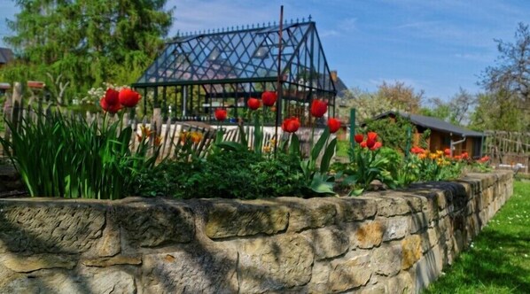 Garden - Pension Am Kirschberg (Bannewitz)