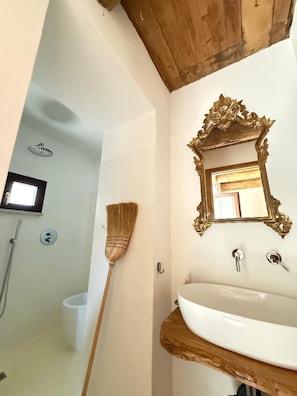 Regadera, secadora de cabello, bidet, toallas 