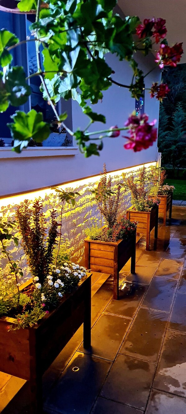 Enceinte de l’hébergement