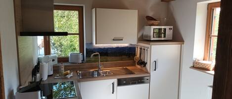 Mikrovågsugn, ugn, spishäll och diskmaskin