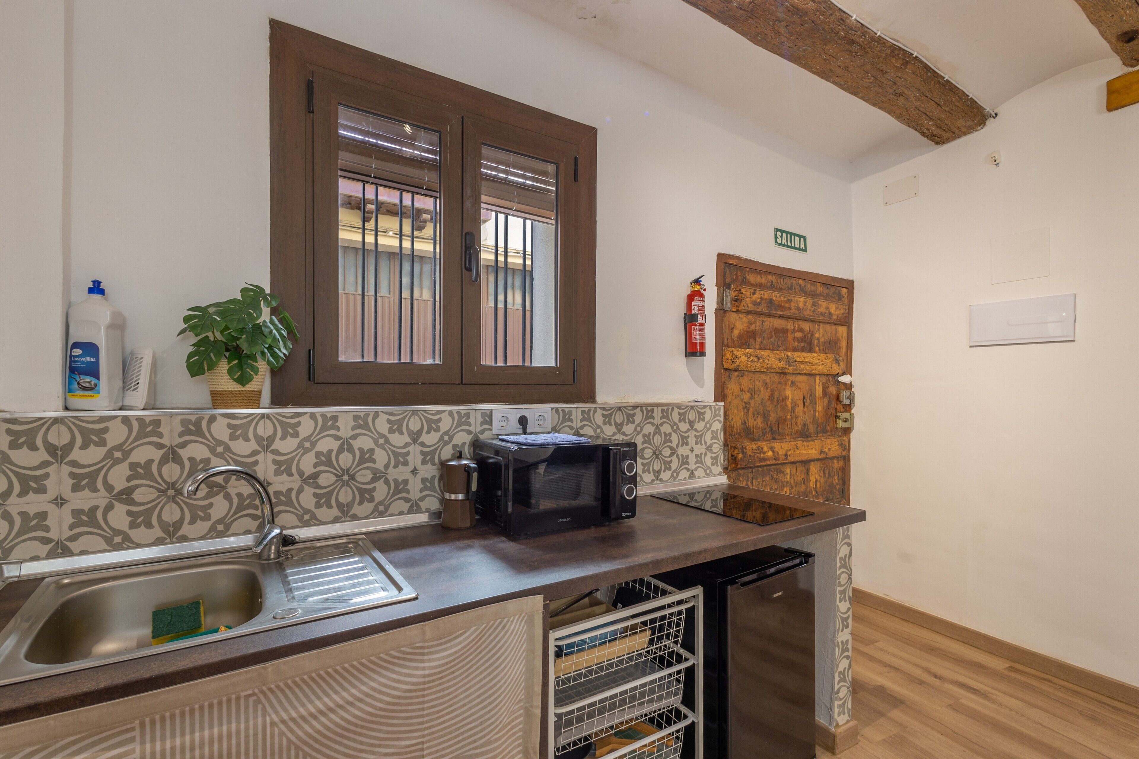Una cocina con un lavamanos, un tostador, una planta en maceta, un extintor y una puerta de madera con la inscripción 'SALIDA'.
