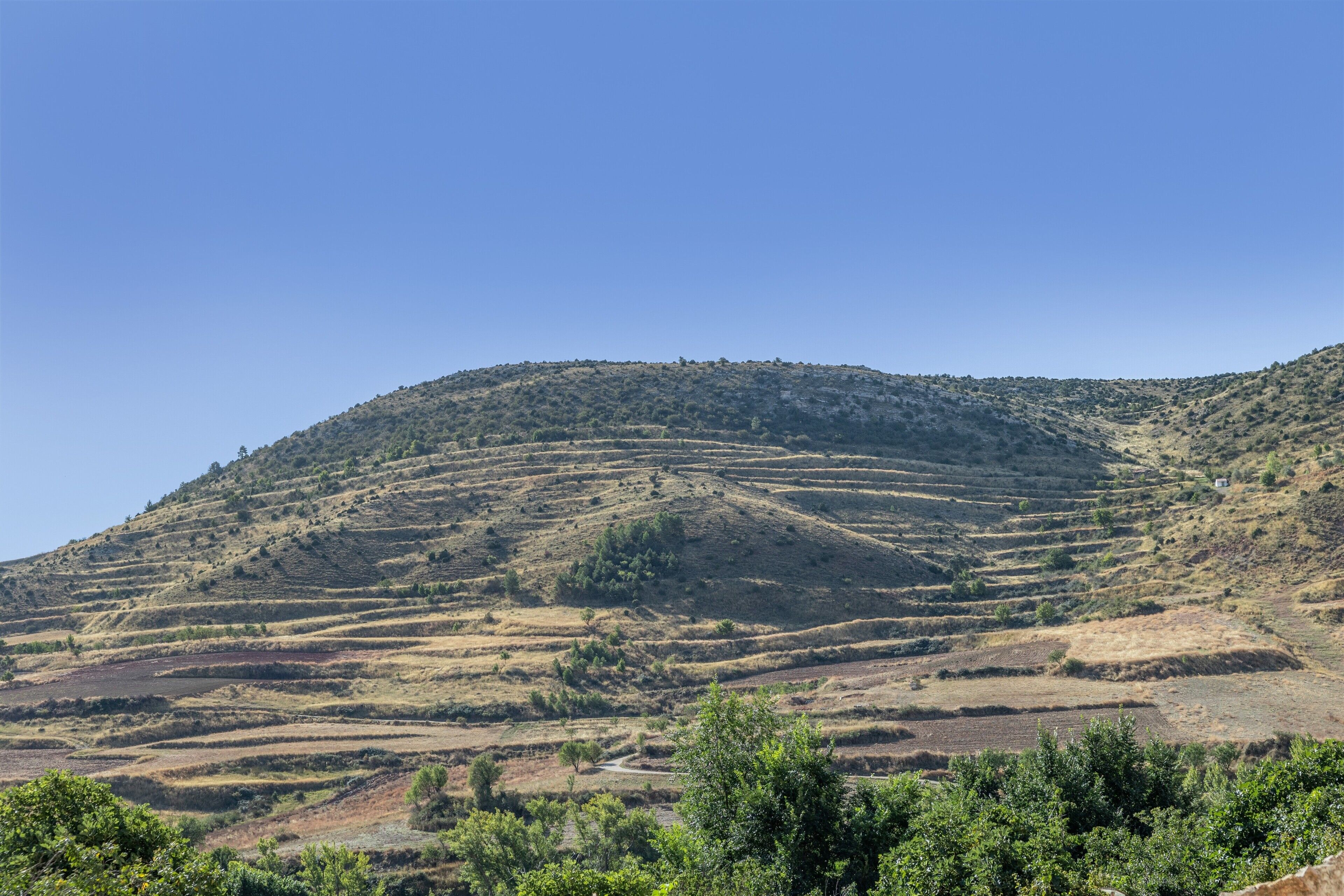 A hilly landscape with terraced fields and sparse vegetation.