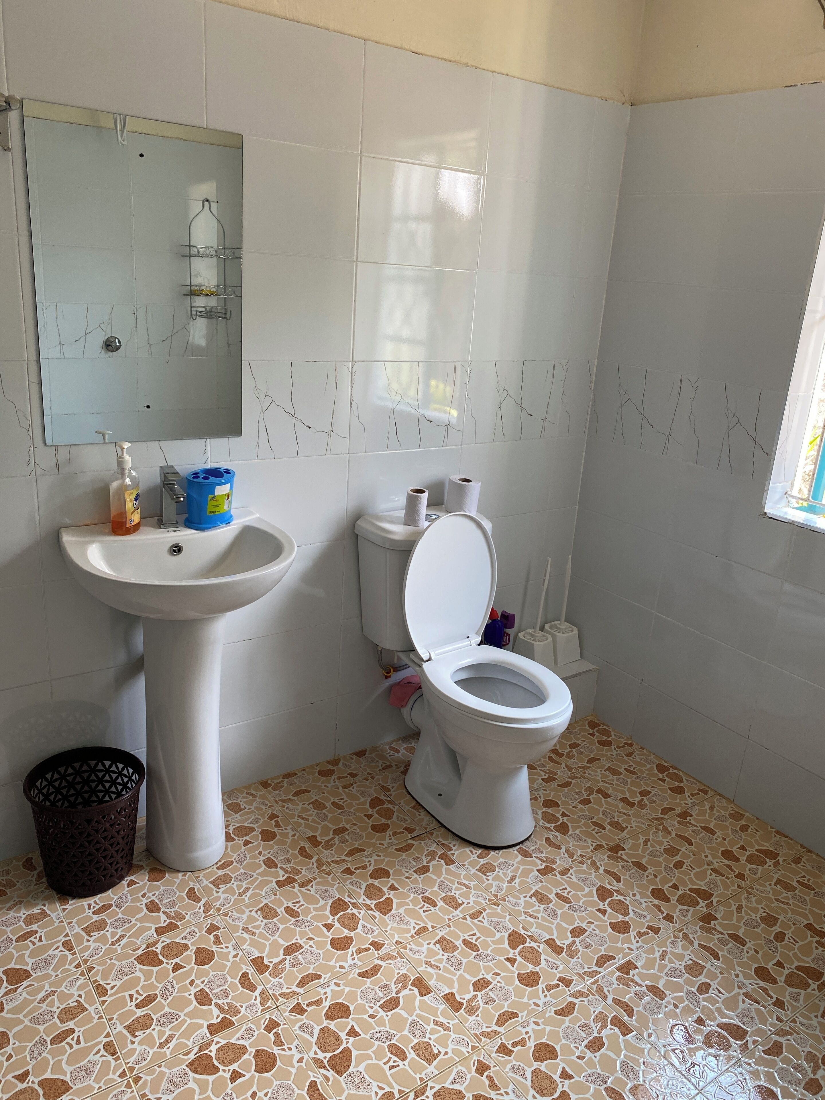 Asciugamani, sapone, carta igienica