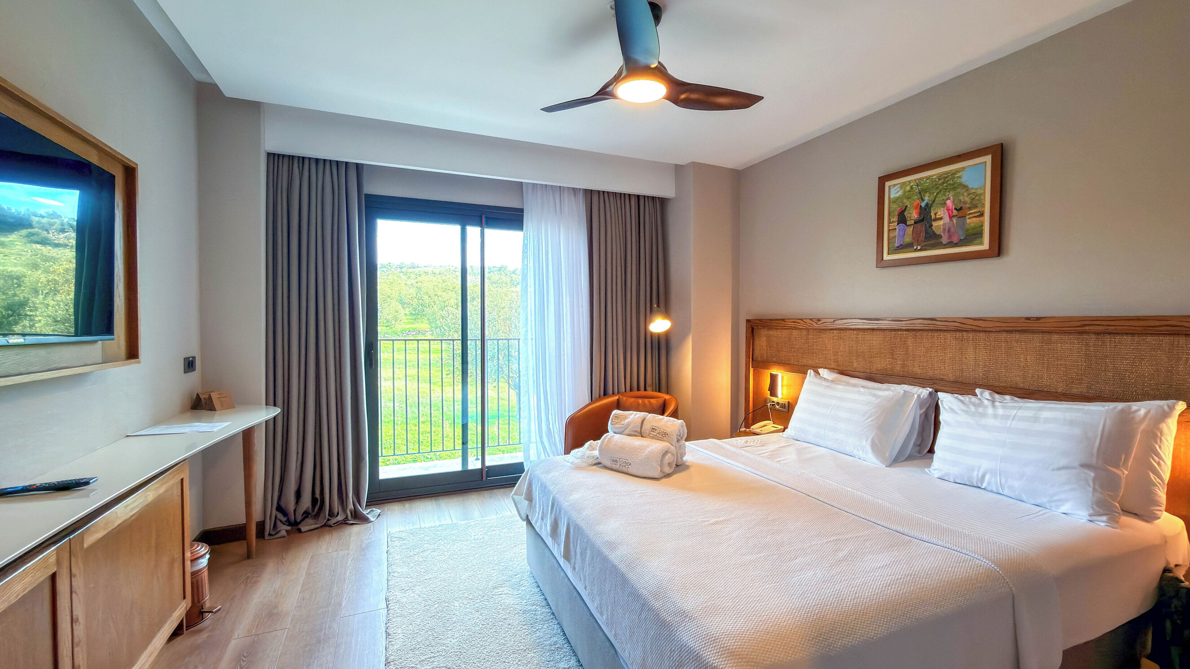 Doga Manzarali Deluxe Oda | In-room safe, blackout drapes, free WiFi, bed sheets