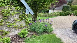 Een tuin met een stenen muur, een boom en paarse bloemen.
