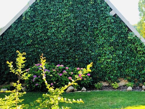 Entire property: cottage - Saint-Prix, France