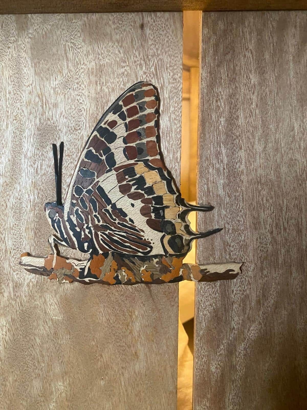 A wooden door with a butterfly cutout.