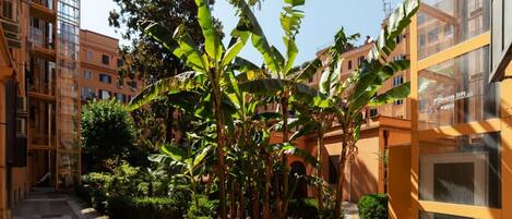 Terrein van de accommodatie