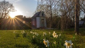 Uklassifisert bilde, 3 av 26, knapp