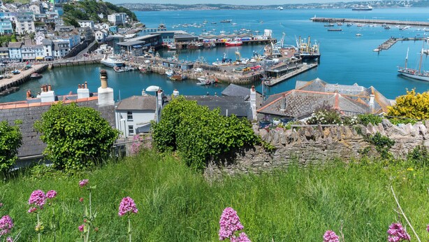 A coastal town with a harbor, buildings, and greenery. - 2 bedroom accommodation in Brixham (Brixham)