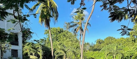 室外游泳池