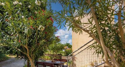 Peaceful Retreat Apartments With Terrace