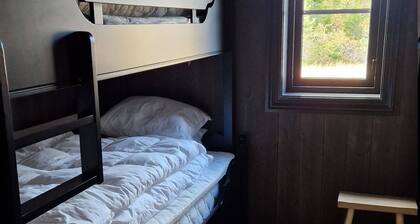 Cabin With Jacuzzi on Lifjell