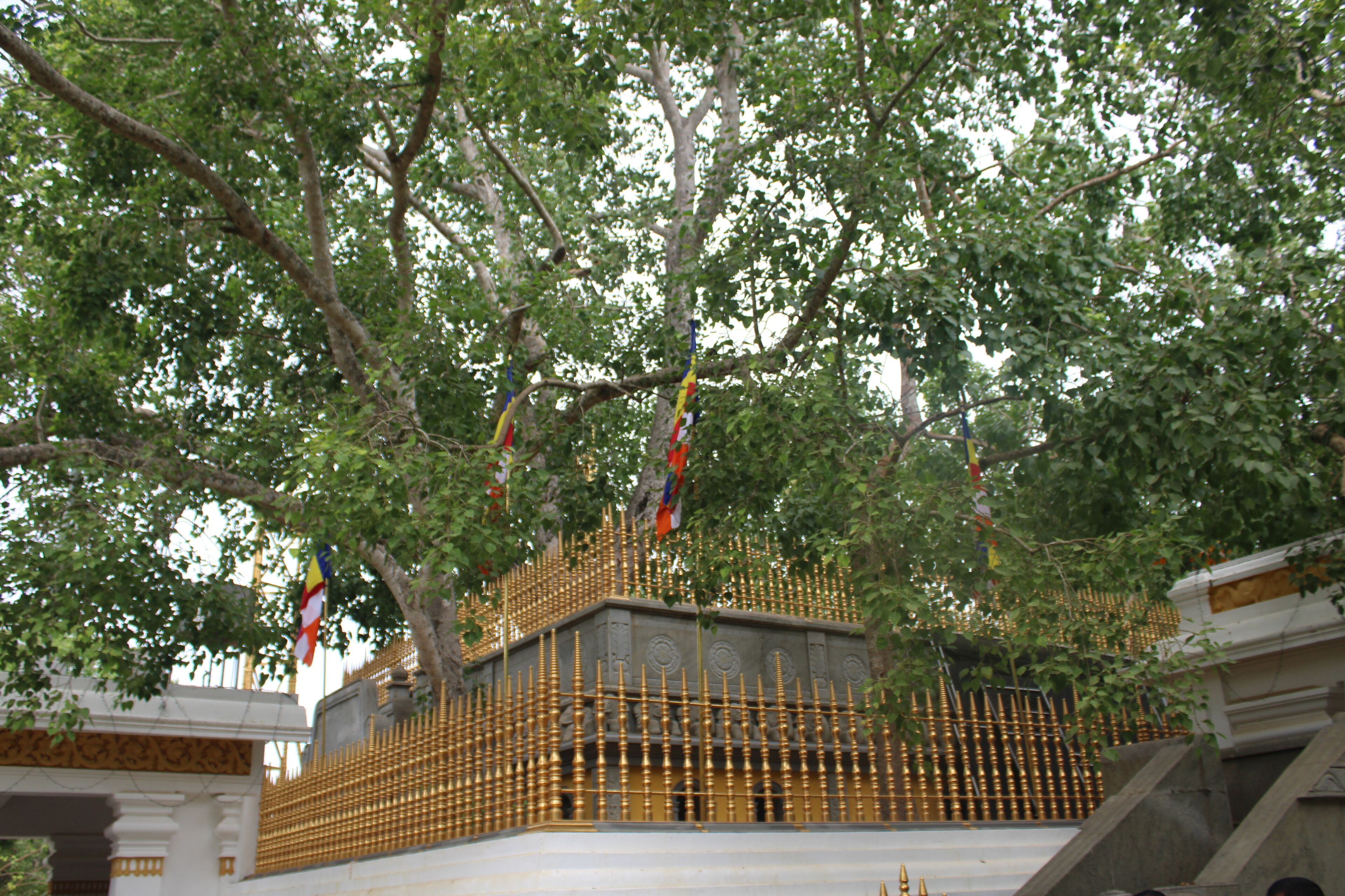 A building with a golden fence and flags, surrounded by trees.