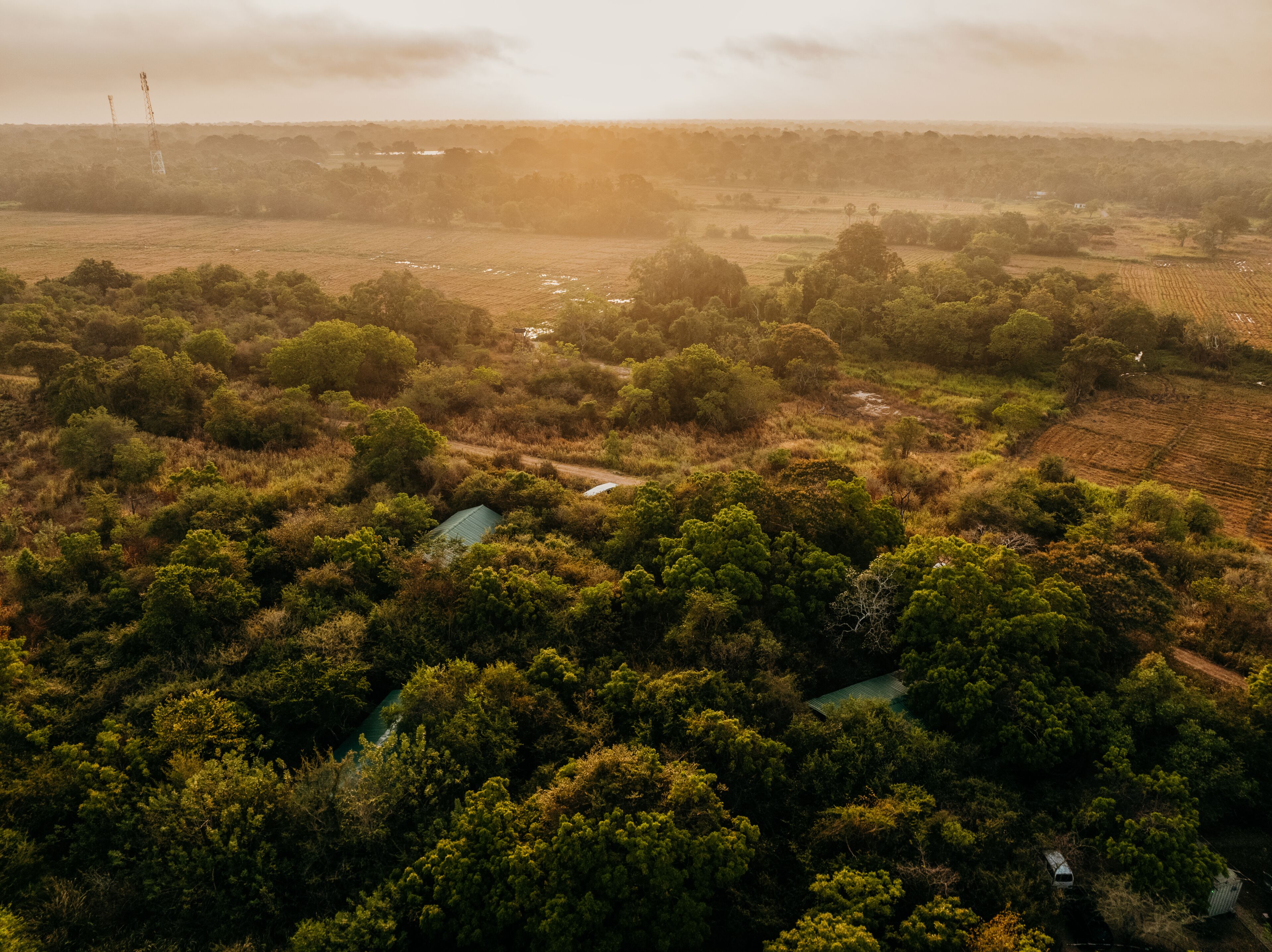 An aerial view of a rural landscape with dense vegetation, a dirt road, and scattered buildings.