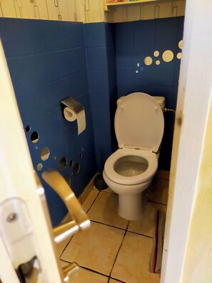 Shower, towels, soap, toilet paper