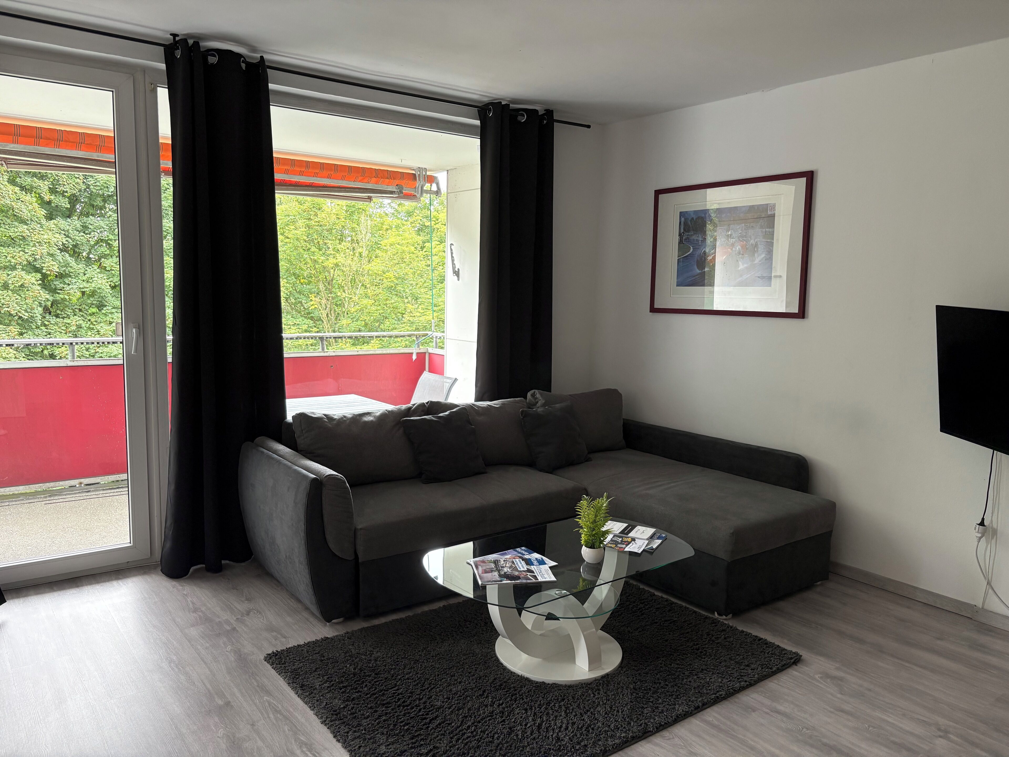 Fernseher
