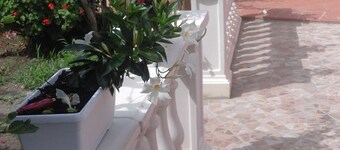 Seaside Cottage Ventotene