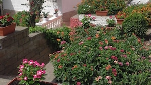 A rooftop garden with potted plants and a white building with a red-tiled roof.