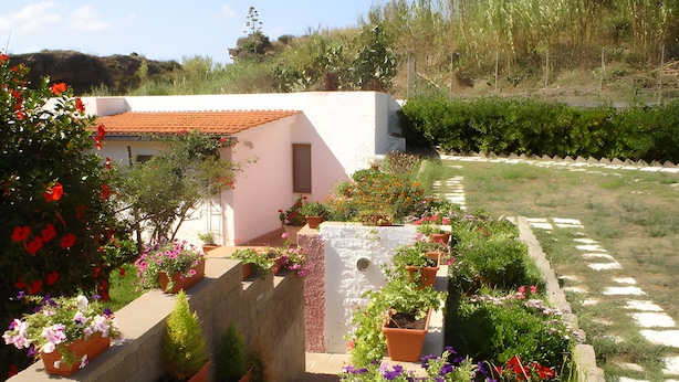 A white building with a tiled roof, surrounded by a garden with various potted plants and flowers.