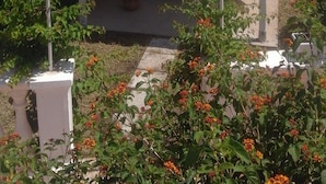 A covered outdoor seating area with white furniture, surrounded by greenery and a view of the sea.