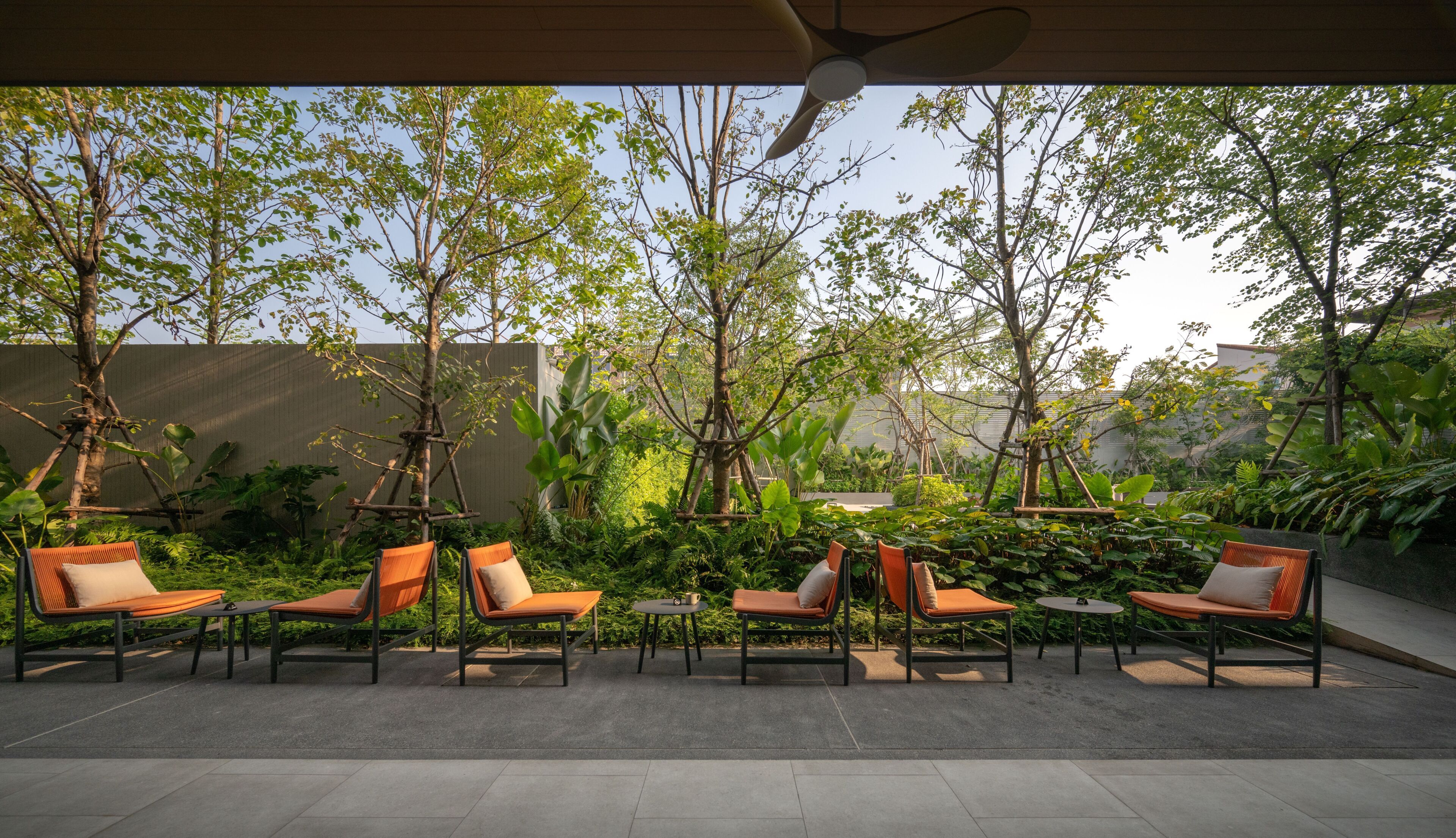 An outdoor seating area with chairs and tables, surrounded by trees and plants.