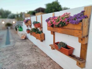 Property grounds - Enjoy the relaxation and tranquility of a country villa 5 km from the sea. (Ostuni)