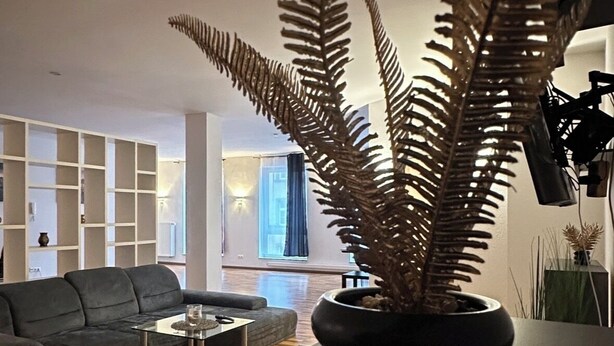 A modern living room with a dark sofa, a glass coffee table, and a large fern plant in a black pot. - Luxury loft in Bayreuth Central&Exclusiv (Bayreuth)