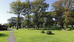 Un parque con un sendero pavimentado, césped verde y árboles.