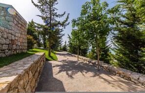 A stone pathway leading through a park with trees and a stone wall on one side.