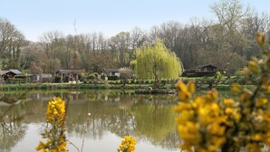 Eine friedliche Seebucht mit einem Haus, einer Trauerweide und einem Teich.