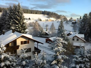Exterior - Apartment '3' with Shared Terrace, Balcony and Wi-Fi (Dachsberg (Südschwarzwald))