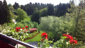 Un balcon donnant sur un paysage verdoyant, un petit bâtiment rouge et des fleurs rouges au premier plan.
