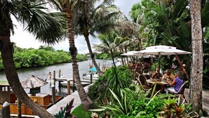 Un restaurant situé au bord de la rivière, doté d’une terrasse, et entouré d’une végétation luxuriante et de palmiers.