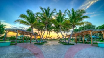 Appartement | 3 chambres